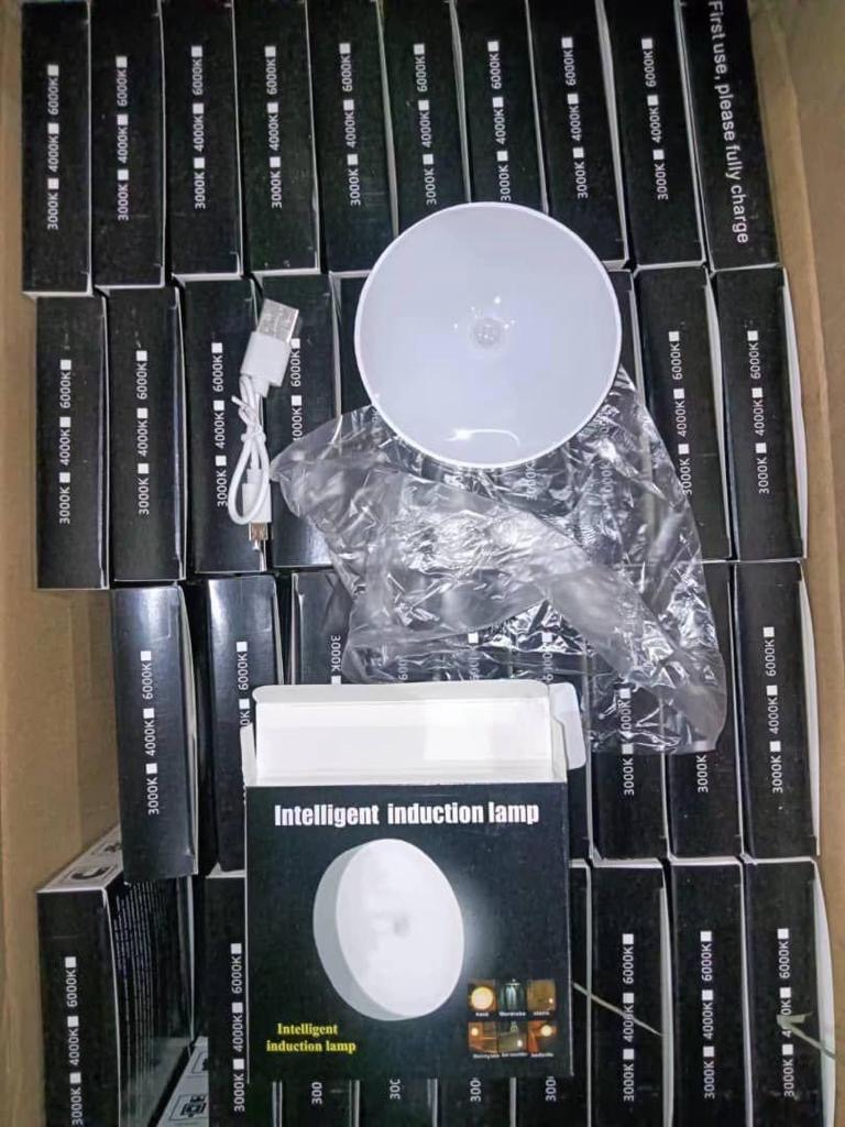 RECHARGEABLE BODY INDUCTION LIGHT